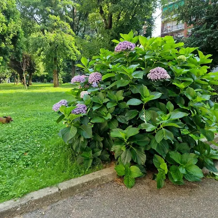 Giardino Sul Naviglio Apartment Milan Exterior photo
