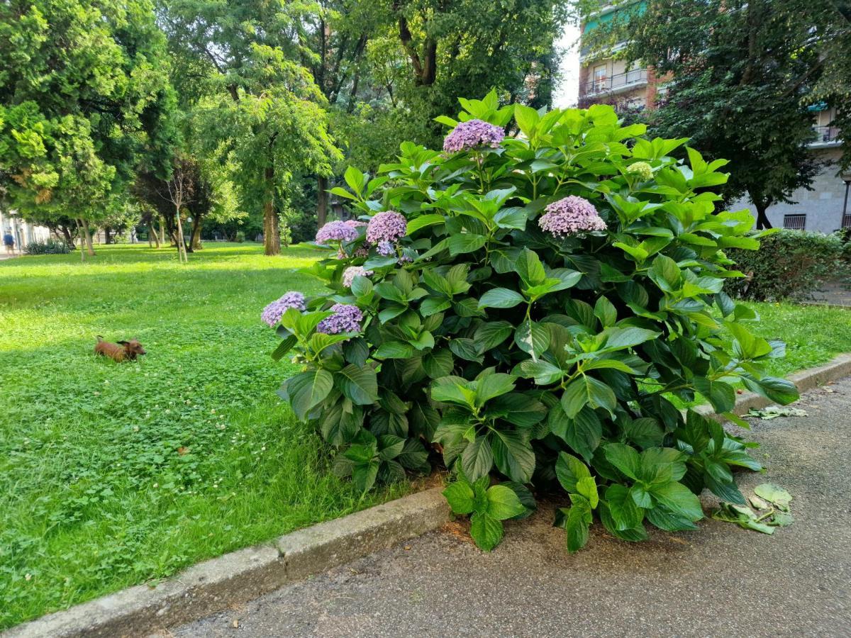 Giardino Sul Naviglio Appartement Milaan